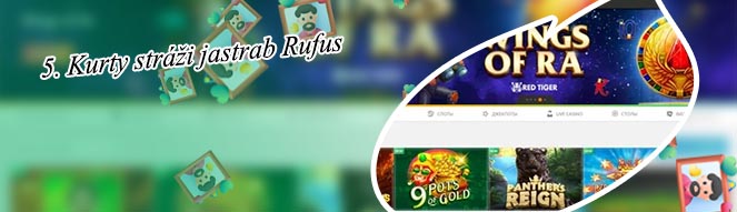 Bcasino 5 free