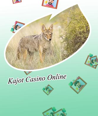 Kajot 70