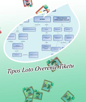 Overenie tipos